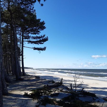 Nalu Glamp Hotell Ujście-Darłowskie Exteriör bild