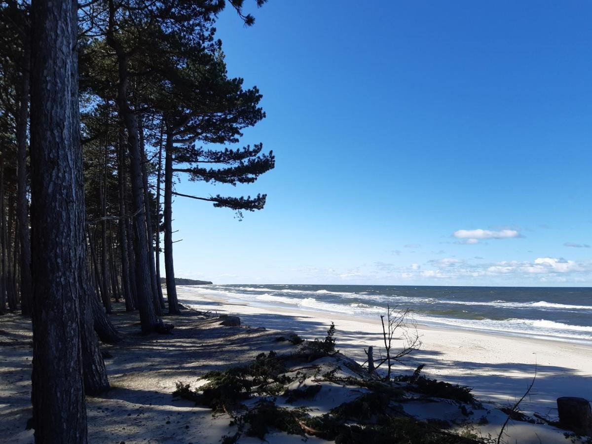 Nalu Glamp Hotell Ujście-Darłowskie Exteriör bild